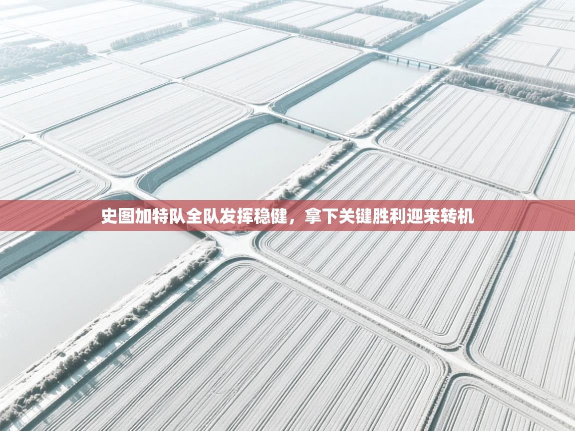 史图加特队全队发挥稳健,拿下关键胜利迎来转机 第1张