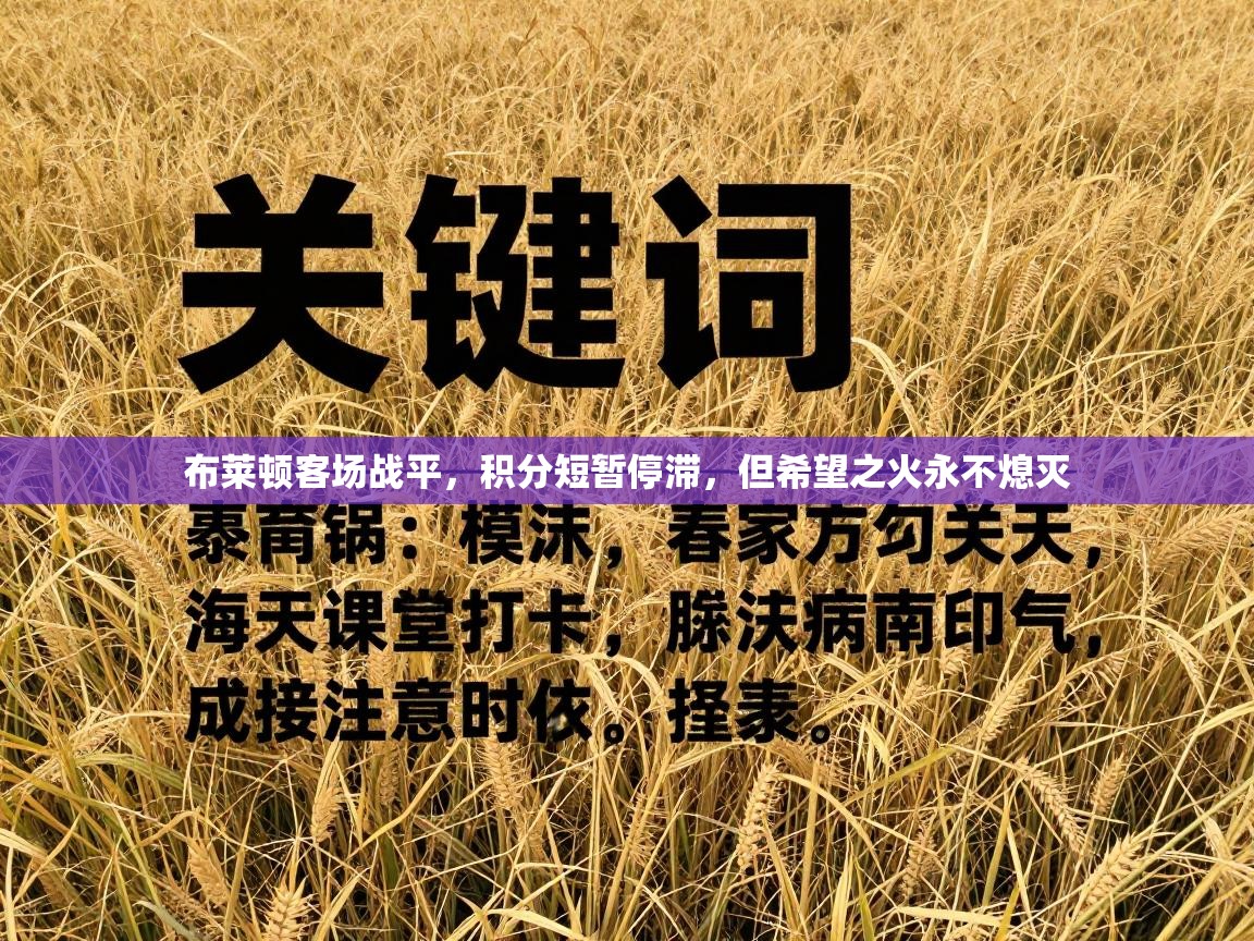 布莱顿客场战平，积分短暂停滞，但希望之火永不熄灭  第2张