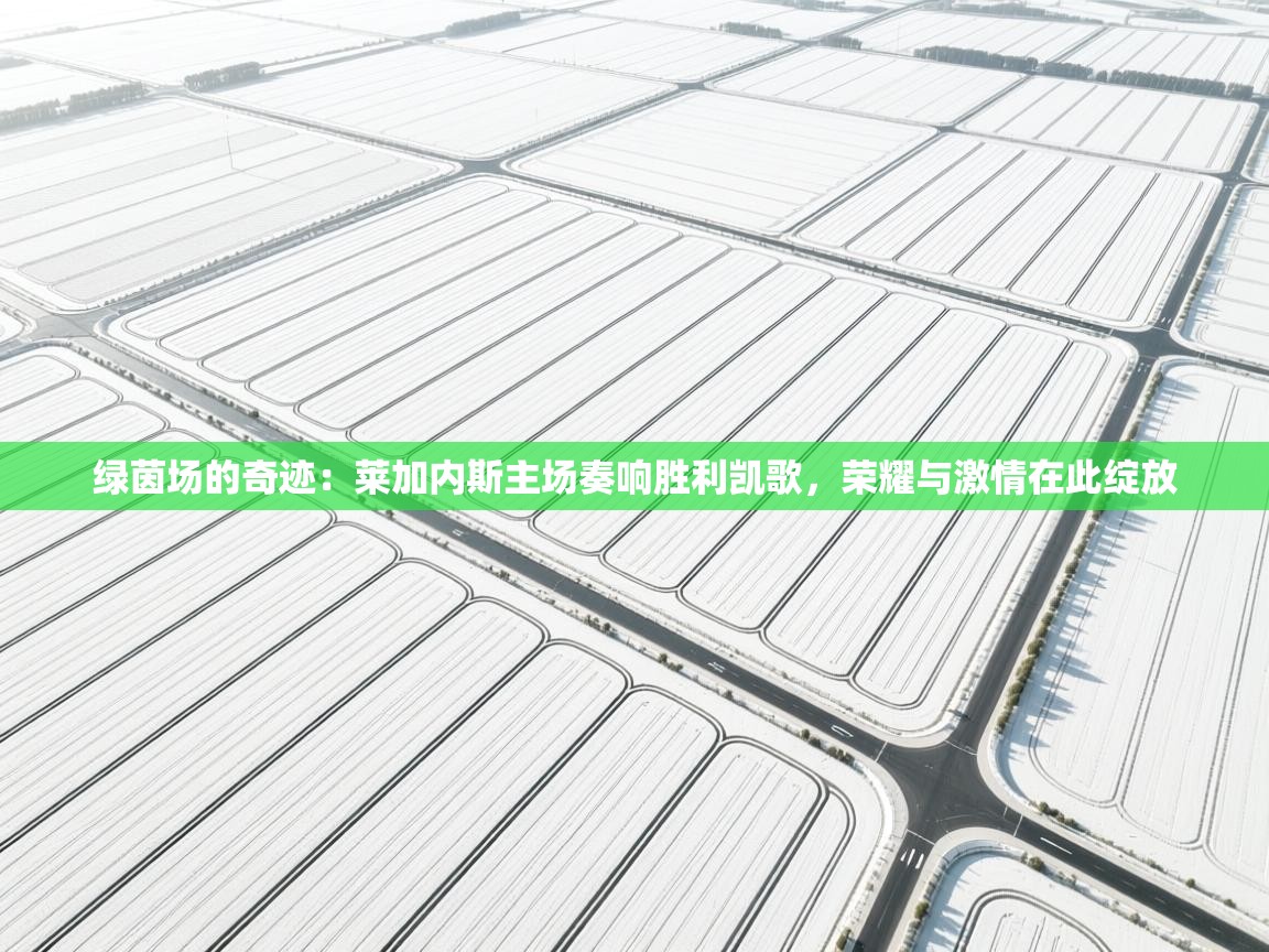 绿茵场的奇迹:莱加内斯主场奏响胜利凯歌,荣耀与激情在此绽放 第1张