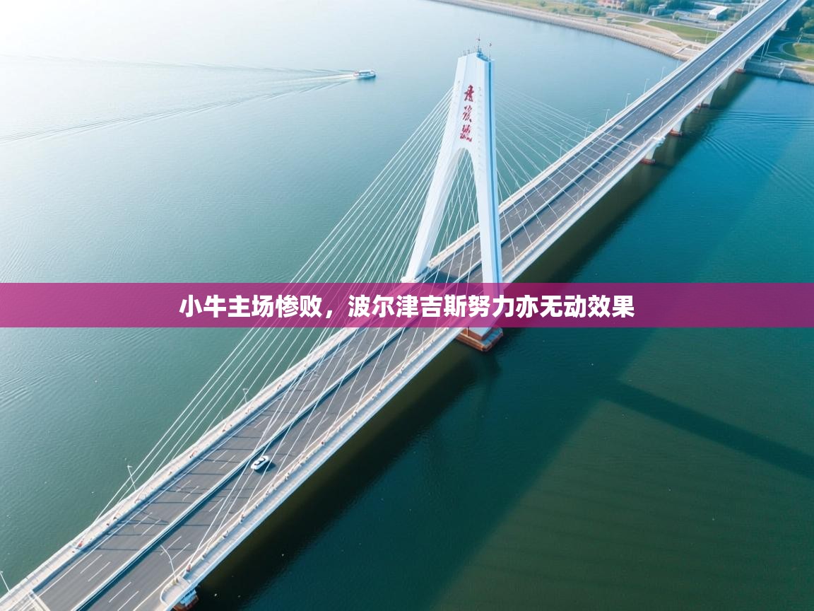 小牛主场惨败，波尔津吉斯努力亦无动效果  第2张