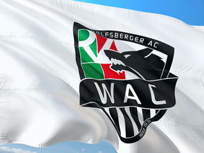 爱游戏体育娱乐-“东部新区赛场,腰旗美式橄榄球让人血脉喷张” 第2张